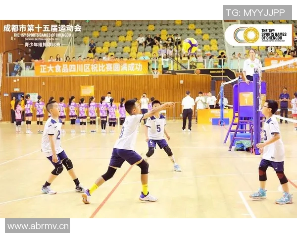 成都排球队在全国排球节奏排行榜中荣获第四名的辉煌成就