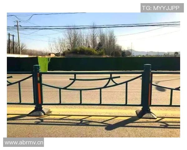 交通护栏的设计与应用分析及其对道路安全的影响研究